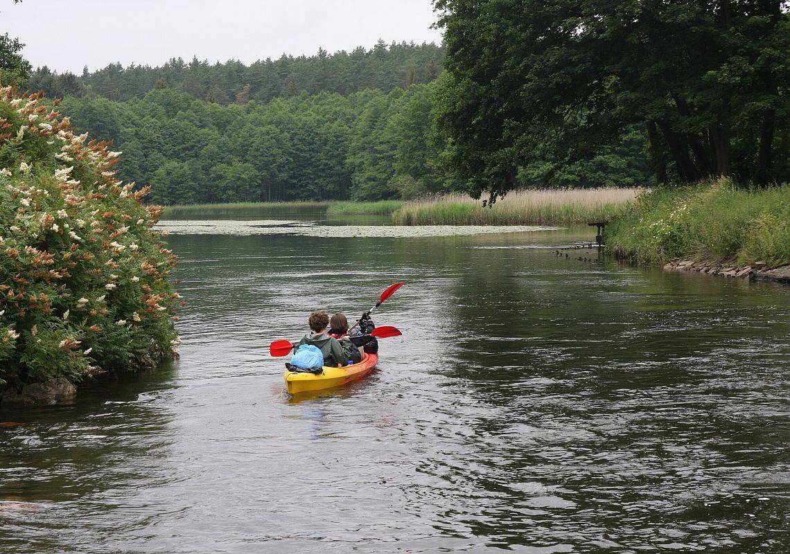Szlak kajakowy na rzece Słupi poniżej Krzyni fot. archiwum parku Czerwono-żółty kajak z dwoma osobami płynący środkiem rzeki.