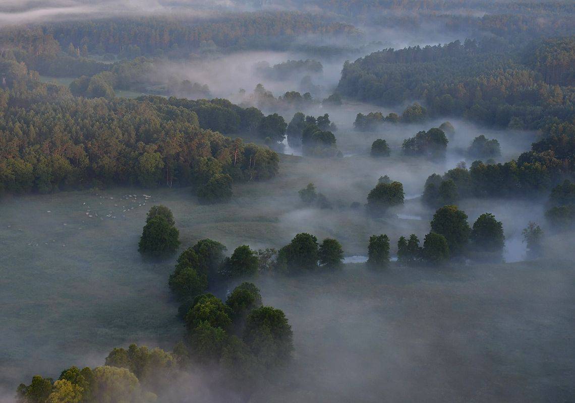 Widoczna z lotu ptaka meandrująca Słupia spowita mgłami, bieg rzeki widoczny dzięki wystającym nad  mgłę koronom drzew