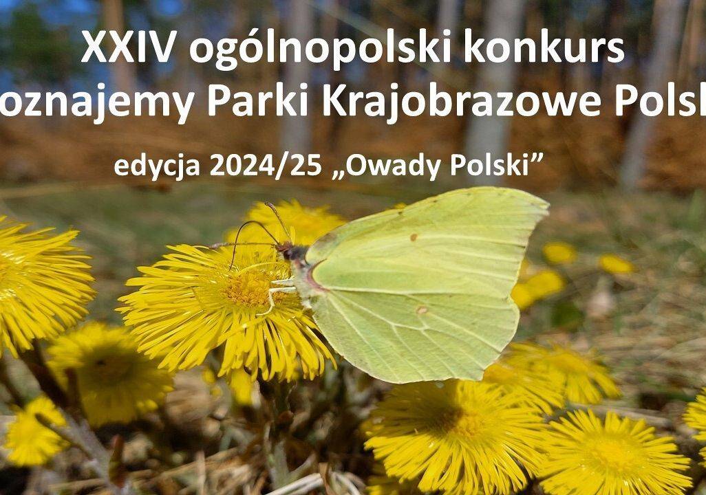 Grafika 1: XXIV konkurs Poznajemy Parki Krajobrazowe Polski pn. "Owady Polski"