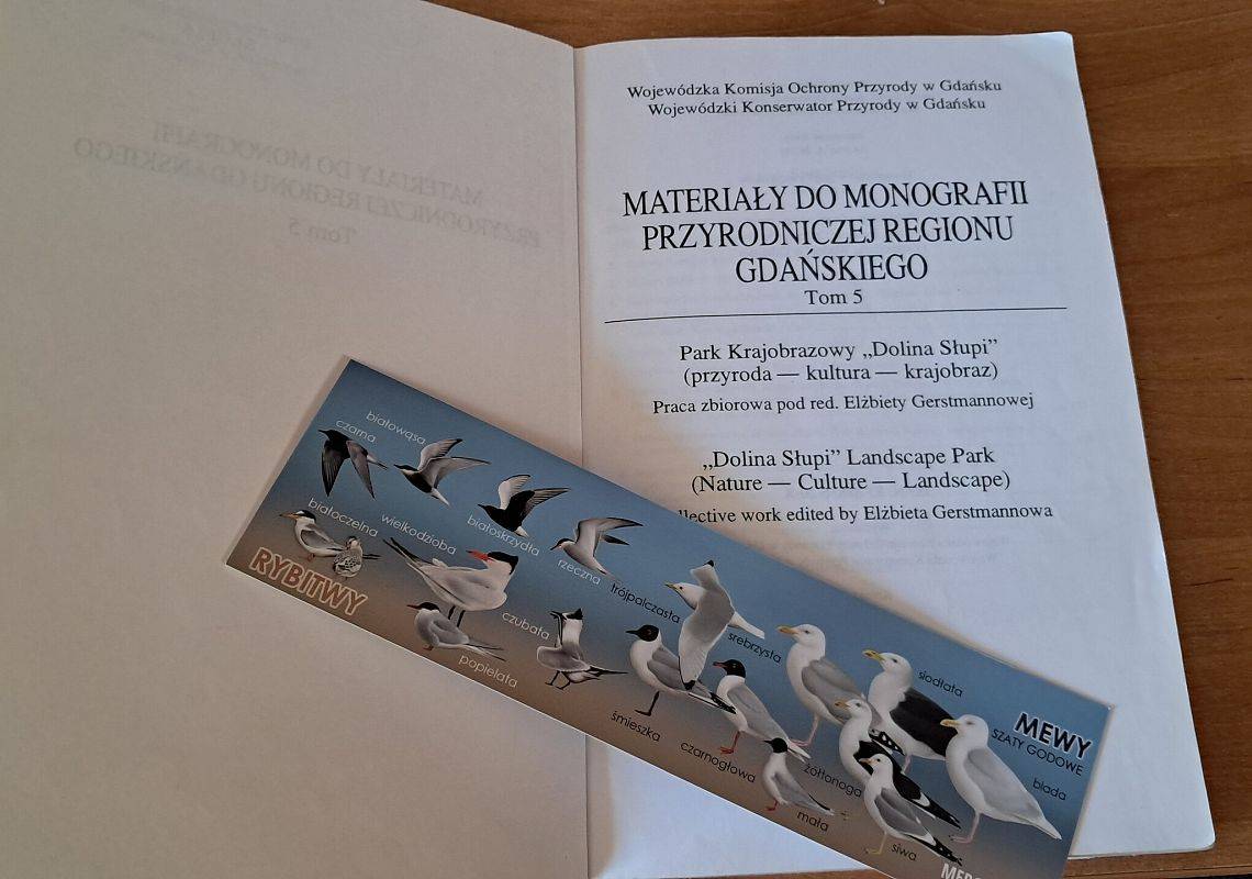 Zkładka z rybitwami i mewami, położona na otwartej książce