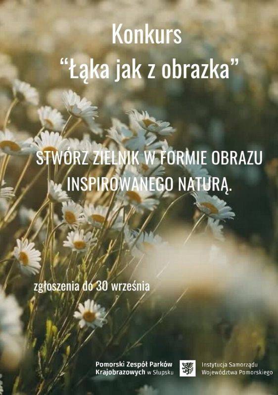 Grafika Łąka jak z obrazka – konkurs zielnikowy