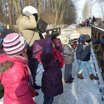 Grafika NATURA…lnie fajne ferie.