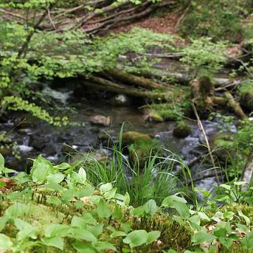 Grafika "Zabierz uczniów do zielonej klasy"