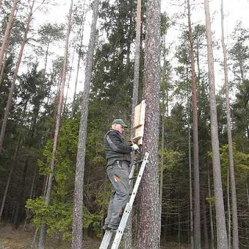 Grafika Wiosenne porządki.