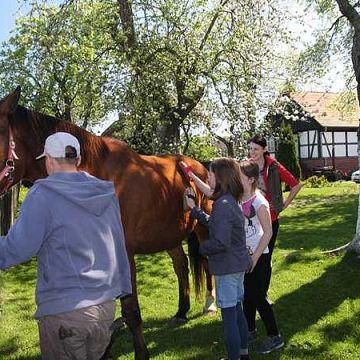 Grafika „Gdzie dom znalazły zwierzęta”