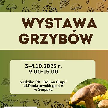 Grafika Zapraszamy na wystawę grzybów