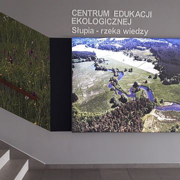 Uwaga!!! Awaria akwariów Grafika Uwaga!!! Awaria akwariów