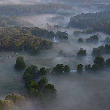 Uwaga konkurs "45 lat PKDS w służbie ochrony przyrody" XXXIII edycja Konkursu Wiedzy o Ochronie Przyrody i Parku Krajobrazowym "Dolina Słupi" Grafika Uwaga konkurs "45 lat PKDS w służbie ochrony przyrody" XXXIII edycja Konkursu Wiedzy o Ochronie Przyrody i Parku Krajobrazowym "Dolina Słupi"
