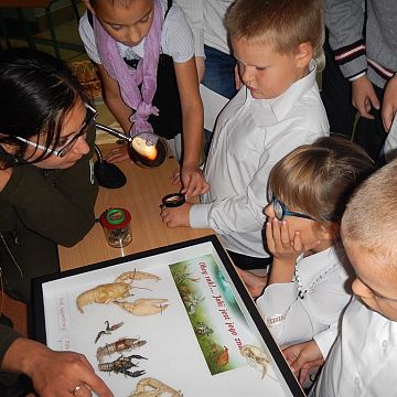 Grafika Rzecz o rakach- z wizytą u klas młodszych w Jezierzycach.