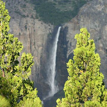 Grafika Monitoring budek lęgowych dla nietoperzy w Dolinie Słupi