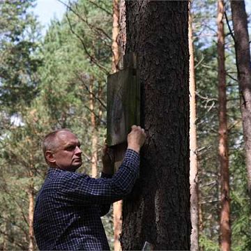 Grafika Monitoring budek dla nietoperzy w Dolinie Słupi