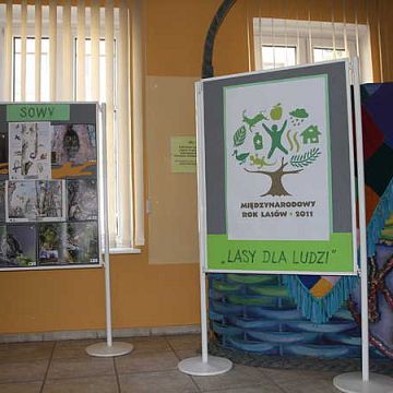 Grafika  Impreza ekologiczna z okazji Międzynarodowego Roku Lasów