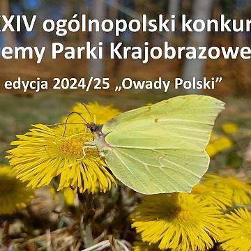 XXIV konkurs Poznajemy Parki Krajobrazowe Polski pn. "Owady Polski" grafika