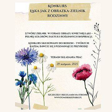 Grafika Łąka jak z obrazka – zielnik rodzinny