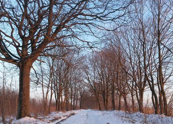 Zimą, fot.E.Ahmad