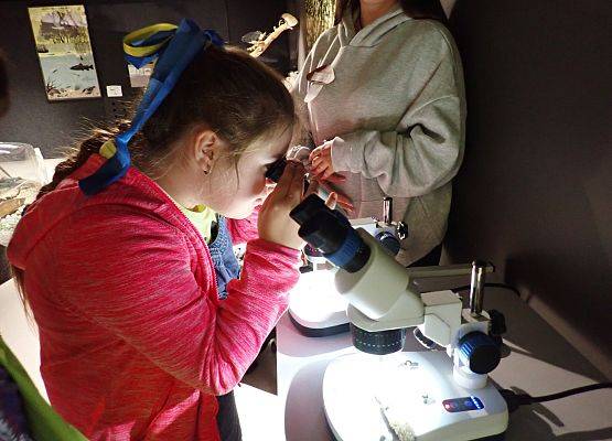dziewczynka oglądająca pod mikroskopem zarodniki grzybów fot. Anna Kasprzak