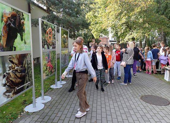 dzieci ogladające wystawę zdjęć przedstawiających ciekawe grzyby fot. Anna Kasprzak