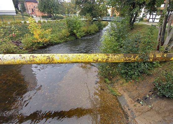 Tarlisko w centrum Słupska czeka na trocie i łososie fot. A.Kasprzak