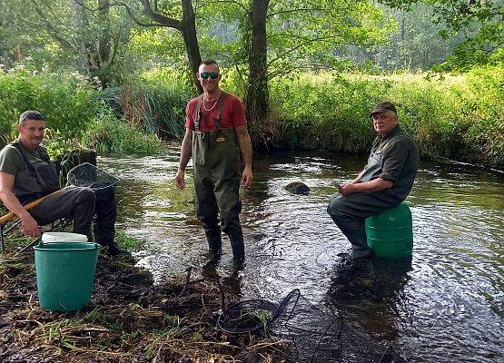 Po wykonaiu  trzech odłowów zapisuje się uzyskane  wyniki, a zmierzony narybek trafia do rzeki. fot. A.Kasprzak