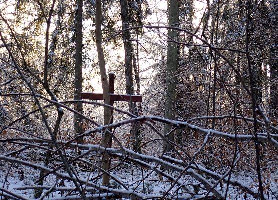 Współczesny krzyż w miejscu dawnego cmentarza ewangelickiego w Gałąźni Małej. Jest to także przystanek ścieżki edukacyjnej  przygotowanej przez Park w formie aplikacji na telefon. fot. A. Kasprzak (2020)(