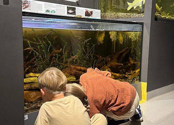 Dwoje dzieci siedzi na podłodze i ogląda akwarium.