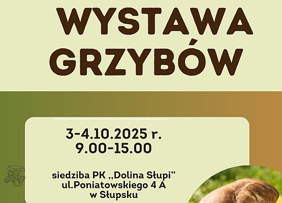 Zdjęcia przedstawia plakat z nazwa wystawa grzybów, poniżej podana jest data i godziny. W prawym dolnym rogu zamieszczono zdjecie grzyba.
