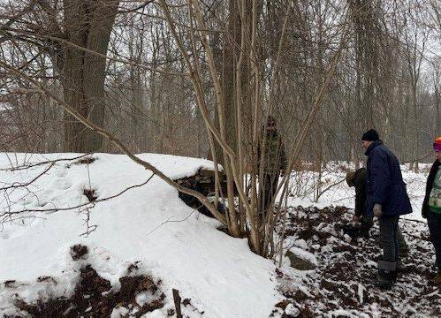 Grafika Monitoring zimujących nietoperzy w PKDS, 2026 r.