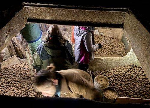 Grafika Monitoring zimujących nietoperzy w PKDS, 2026 r.