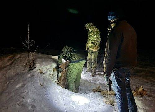 Grafika Monitoring zimujących nietoperzy w PKDS, 2026 r.