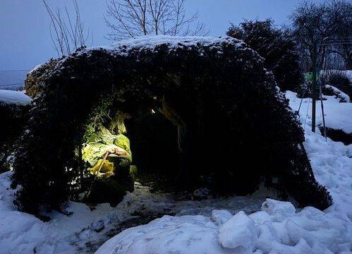 Grafika Monitoring zimujących nietoperzy w PKDS, 2026 r.