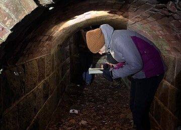 Grafika Monitoring zimujących nietoperzy w PKDS, 2026 r.