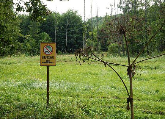 W dolinie Rospudy, często odwiedzanej przez turystów, pojawiły się tablice ostrzegawcze.