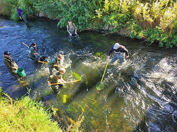 Grafika Warsztaty ichtiologiczne za nami