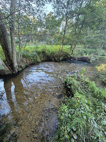 Grafika Uzupełniamy istniejące tarliska i tworzymy nowe