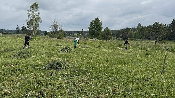 Grafika Czynna ochrona w rezerwacie przyrody ,,Gogolewko”